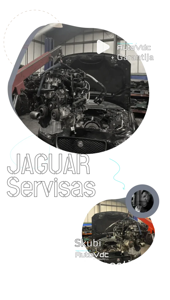 Skubus JAGUAR servisas Vilniuje – variklio diagnostika ir remontas su garantija | AutoVDC

Description:
„JAGUAR servisas Vilniuje“ – kai kalba eina apie britišką inžineriją, kompromisų būti negali. AutoVDC centre dirbame su JAGUAR automobiliais, kuriems reikalingas maksimalus tikslumas, patirtis ir pažangi diagnostinė įranga. Nuo sudėtingų variklio gedimų iki pilnų variklio išėmimo ir kapitalinio remonto darbų – viskas atliekama su garantija.

JAGUAR nėra paprastas automobilis. Tai sudėtinga technologija, kur kiekviena klaida kainuoja brangiai. Todėl mūsų darbas prasideda ne nuo „ardymo“, o nuo tikslios diagnostikos:
– variklio ir jo mechanikos būklės įvertinimo,
– elektronikos ir valdymo sistemų analizės,
– aušinimo ir tepimo sistemų patikros,
– realios gedimo priežasties nustatymo.

Dažniausios situacijos, su kuriomis atvyksta JAGUAR savininkai:
– neaiškūs variklio garsai, vibracija, galios praradimas,
– aušinimo sistemos problemos,
– elektronikos klaidos, kurios „dingsta ir grįžta“,
– rimti variklio gedimai, kai kiti servisai siūlo tik keitimą.

AutoVDC požiūris – ne „keisti iš karto“, o pirma suprasti, kas iš tikrųjų sugedo. Dažnai tai leidžia sutaupyti tūkstančius eurų ir išsaugoti originalų variklį.

„Skubi diagnostika“ pas mus reiškia ne paviršutinišką patikrą, o greitą, bet gilią analizę. JAGUAR automobiliai reikalauja laiko, patirties ir atsakomybės – būtent tai ir gaunate AutoVDC centre.

Jeigu ieškai JAGUAR serviso Vilniuje, kuris:
– dirba su sudėtingais variklio gedimais,
– atlieka pilną diagnostiką prieš remontą,
– suteikia realią garantiją,
– supranta premium klasės automobilių vertę,

AutoVDC yra ta vieta, kur JAGUAR remontas tampa sprendimu, o ne eksperimentu.