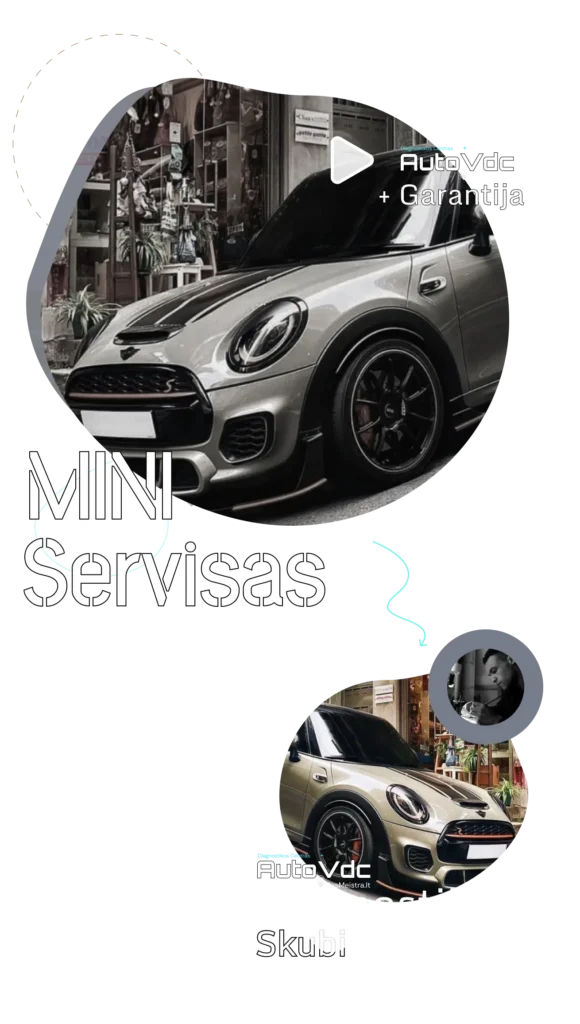ALT:
MINI servisas Vilniuje – profesionali diagnostika ir remontas AutoVDC autoservise

Title:
MINI remontas ir diagnostika Vilniuje | AutoVDC

Description:
Specializuotas MINI automobilių servisas Vilniuje. Atliekame tikslią kompiuterinę diagnostiką, variklio, važiuoklės ir elektronikos remontą. AutoVDC – patikima vieta tavo MINI greitam ir kokybiškam sutvarkymui su garantija.

Caption:
MINI automobilio diagnostika ir remontas AutoVDC servise Vilniuje.

SEO raktažodžiai:
MINI servisas Vilnius, MINI diagnostika, MINI remontas, MINI autoservisas Vilniuj